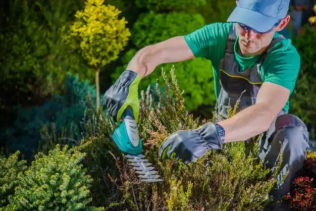 landscaping services Leesville